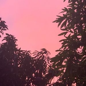 Meet your Posher, Ava